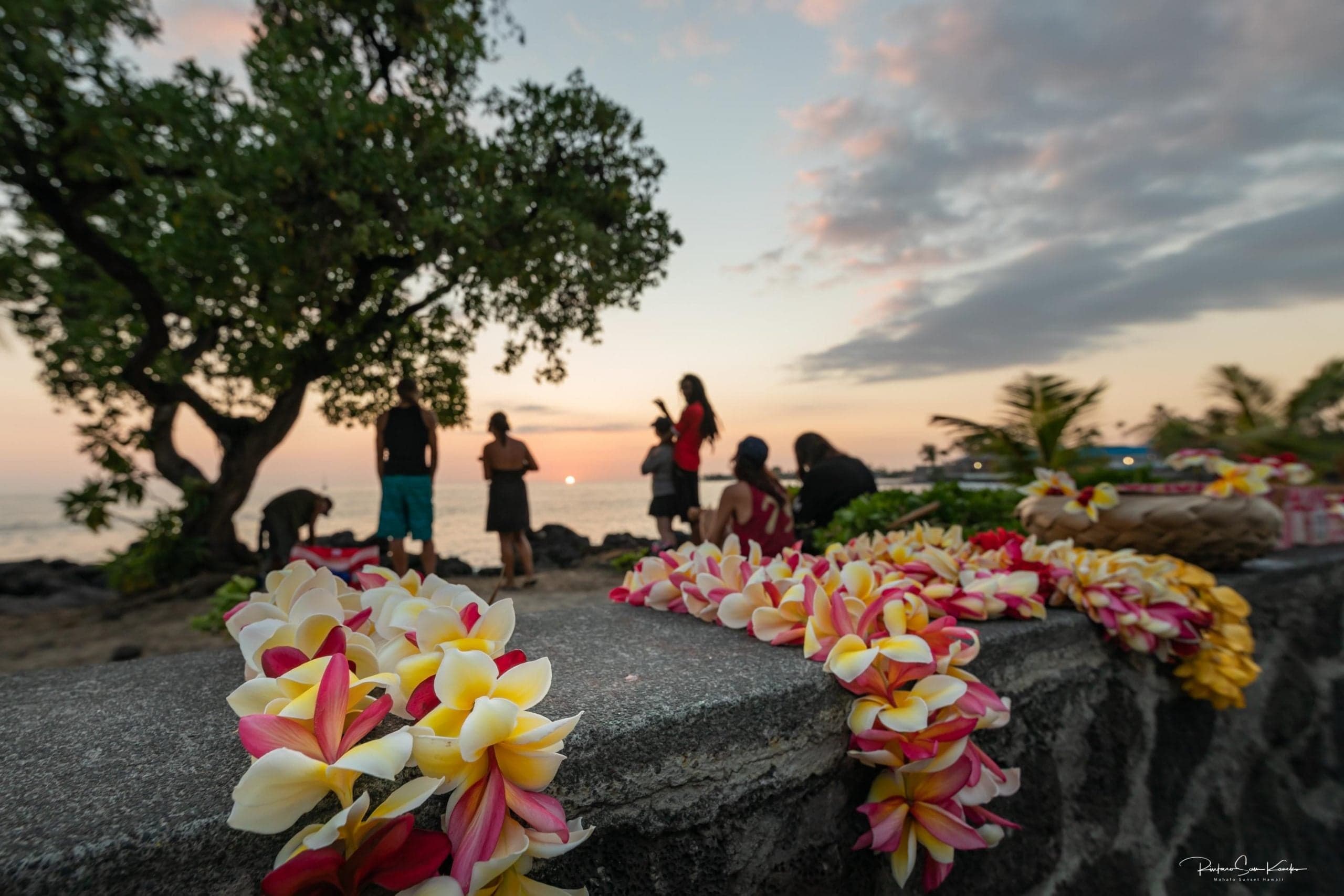 KE Team Hawaii Real Estate Blog: Kailua-Kona Market Trends & Insights