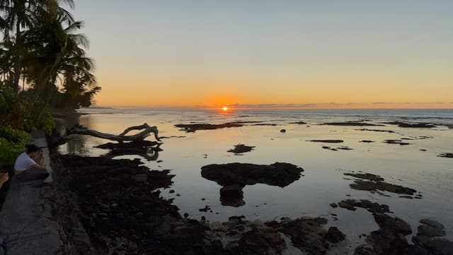 Whales and Seagliders: Hawaii’s Sustainable Future in Interisland Travel