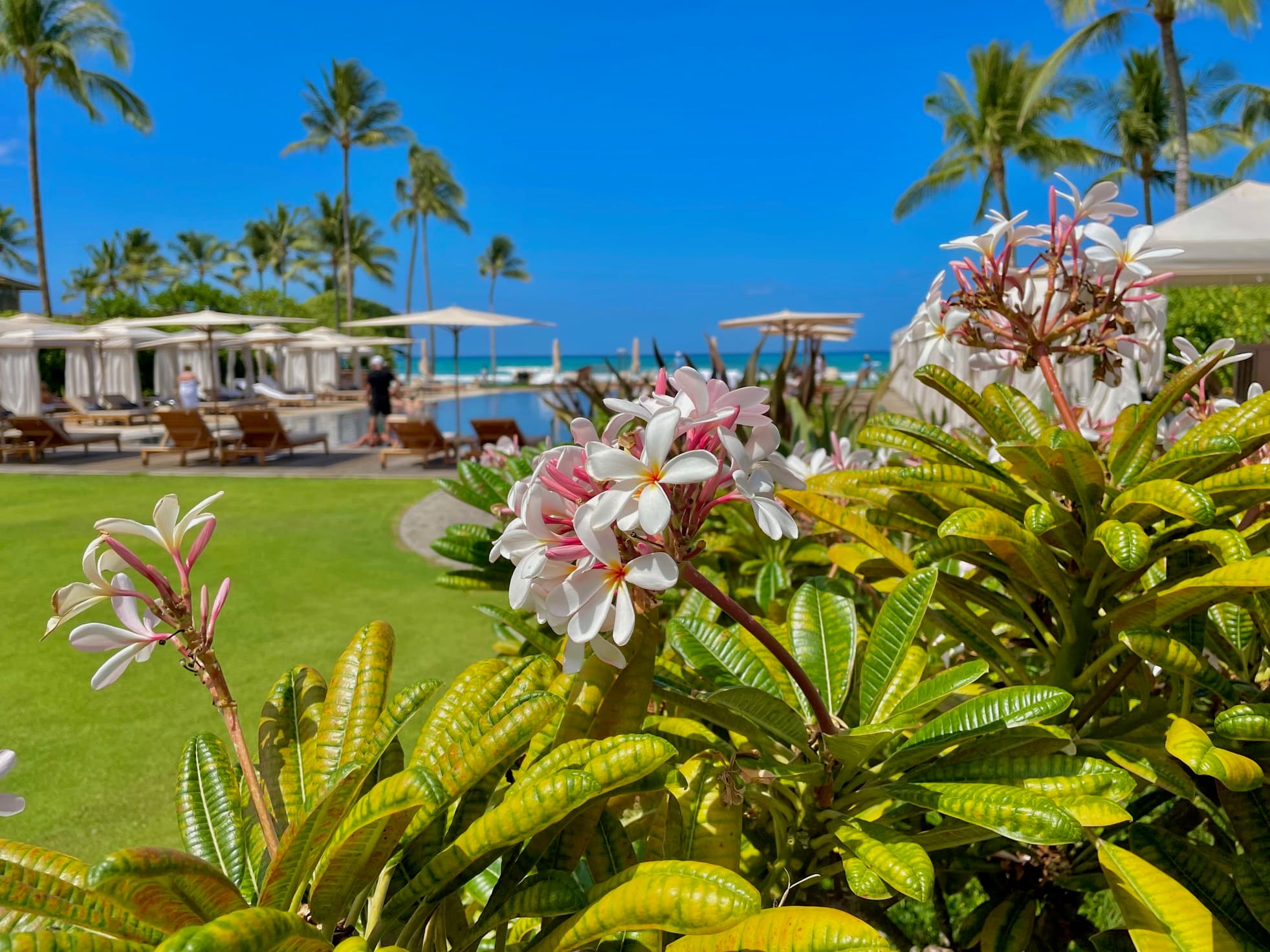 2025 Mid-Year Market Recap: Big Island Luxury Resorts