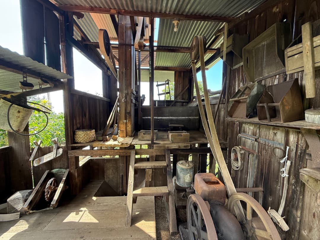 Crafted by Hand, Preserved by Heart: Kona Coffee’s Japanese Legacy