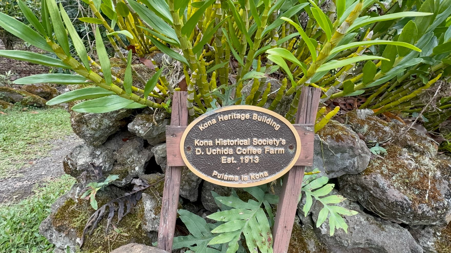 Crafted by Hand, Preserved by Heart: Kona Coffee’s Japanese Legacy