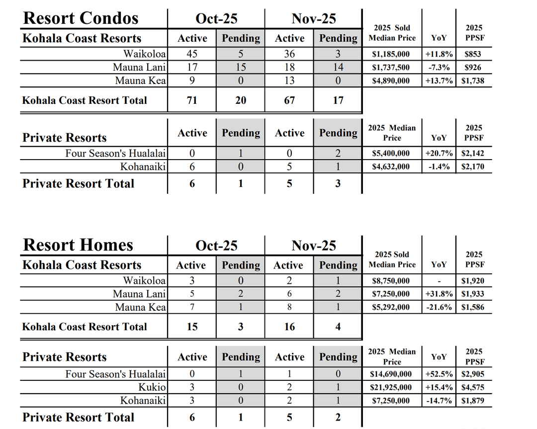 November 2025 Market Update