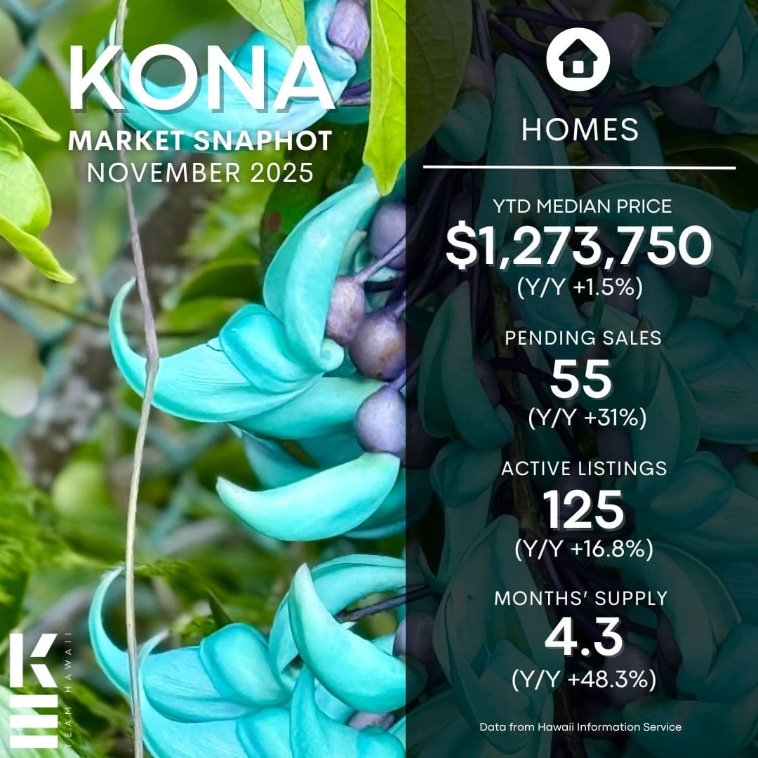 November 2025 Market Update