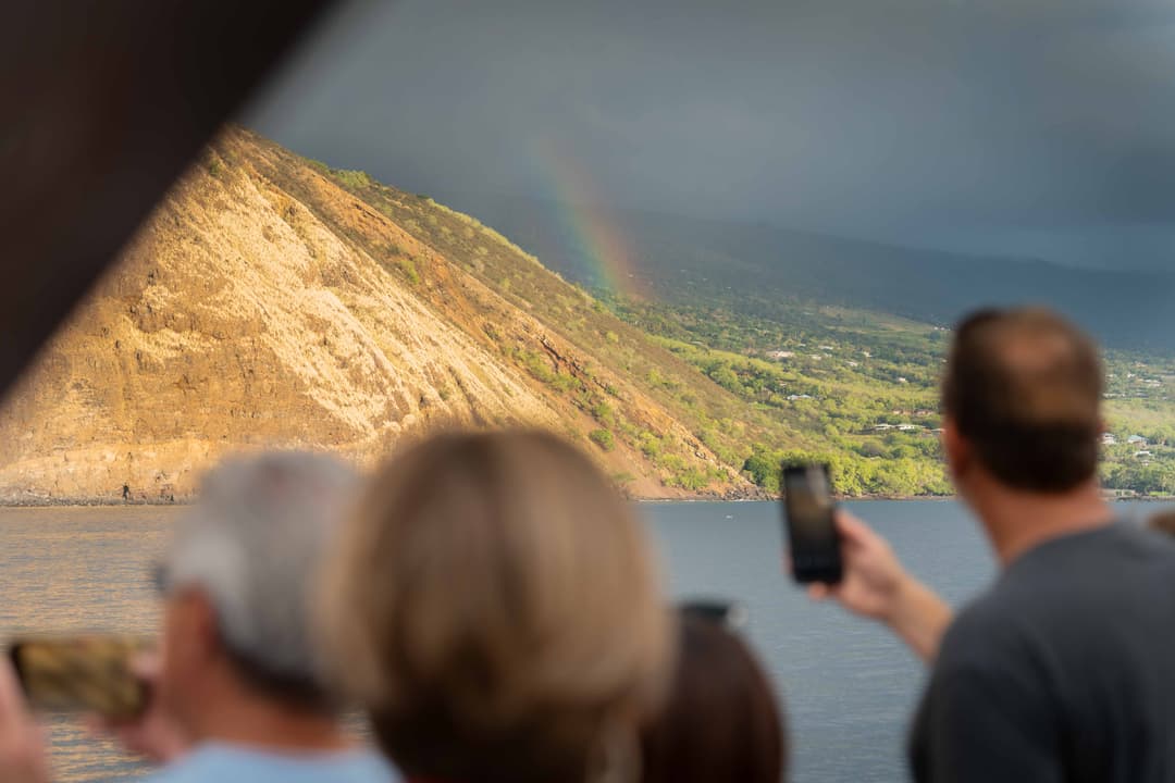 Why We Host Our Private Whale Watch & Sunset Cruise