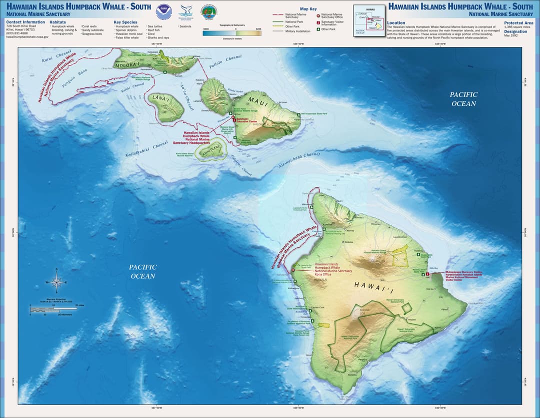 Hawaiian Islands Humpback Whale National Marine Sanctuary- https://hawaiihumpbackwhale.noaa.gov/