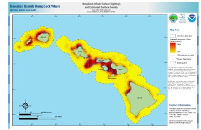 Hawaii Whale Density https://hawaiihumpbackwhale.noaa.gov/